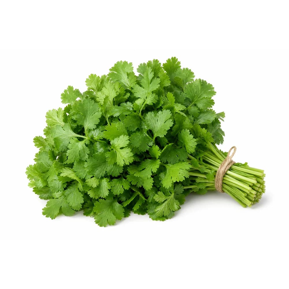 Fresh Cilantro, 1 Bunch