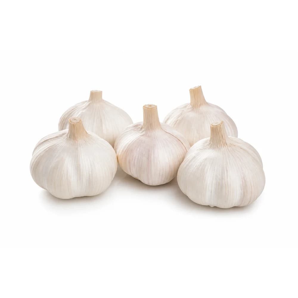 Fresh Garlic, 5 Bulb Pack
