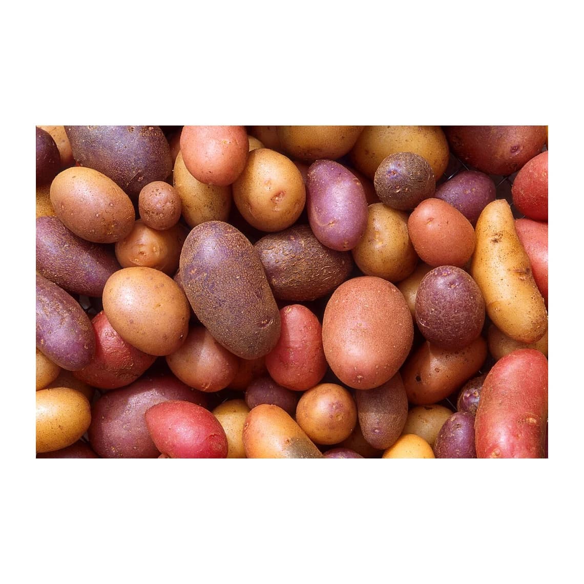 Russet Potatoes, 5 lb Bag